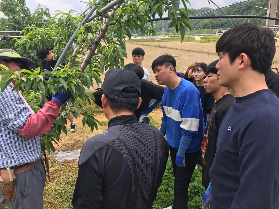 경찰소방행정학부 지역 봉사활동 전개