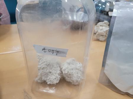 양조동아리 이양주 빚는날